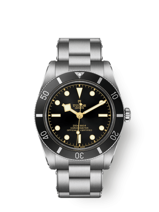 tudor 79000n-0001 black bay 54