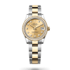 31mm 勞力士 ROLEX DATEJUST 278381rbr-0025 外圈鑲鑽香檳色