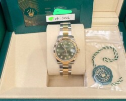 278273-0029 Green Oyster
