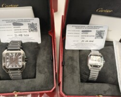 Cartier WSSA0039 WSSA0082