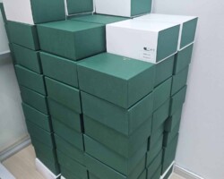 Rolex M boxes